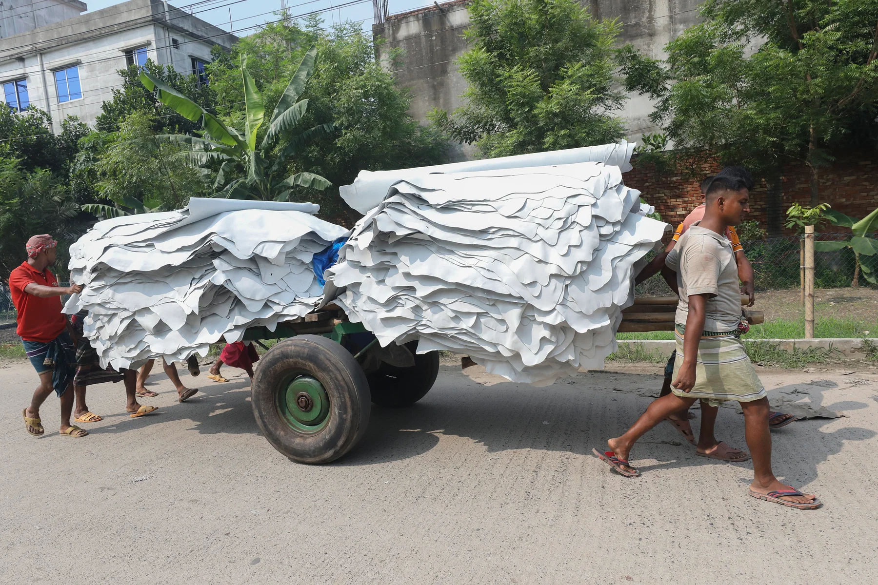 ঠেলাগাড়িতে করে চামড়া নেওয়া হচ্ছে।